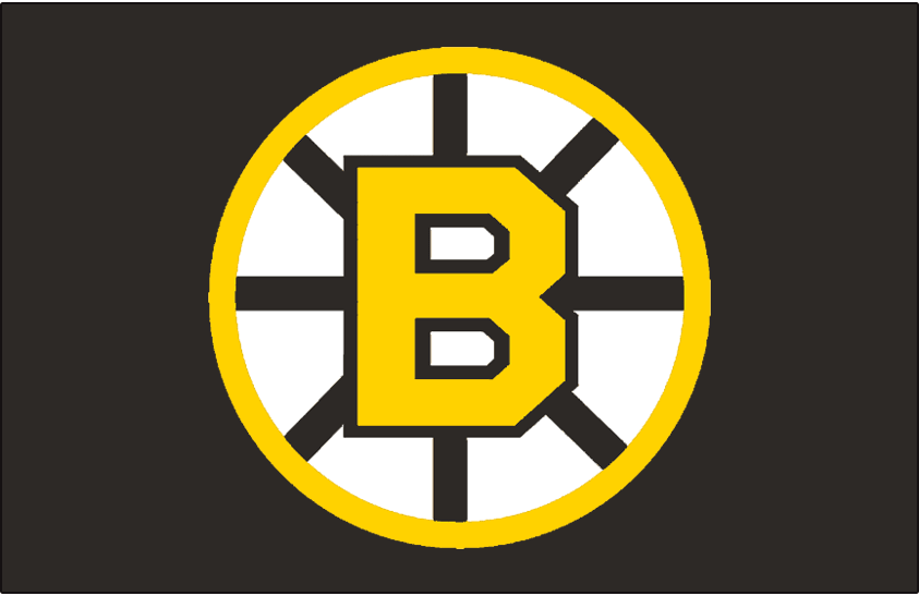 Boston Bruins 1955-1995 Jersey Logo t shirts iron on transfers